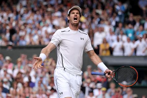Andy Murray wins 2016 Wimbledon men's championship.